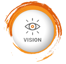 Vision